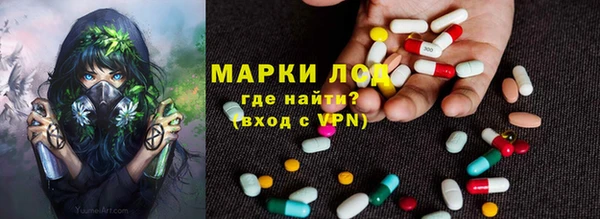 эйфоретик Арсеньев