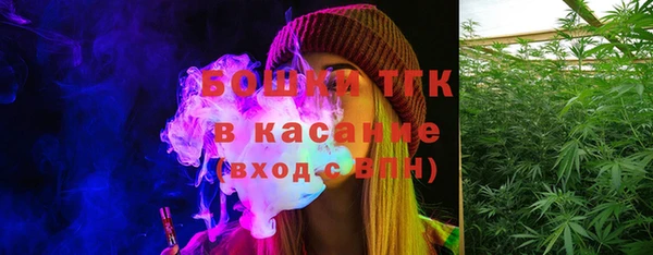 эйфоретик Арсеньев