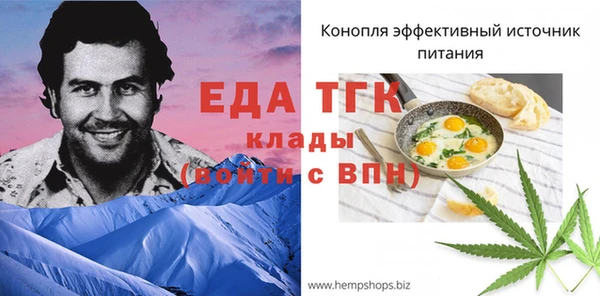 эйфоретик Арсеньев