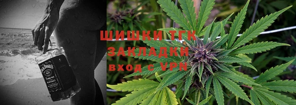 эйфоретик Арсеньев